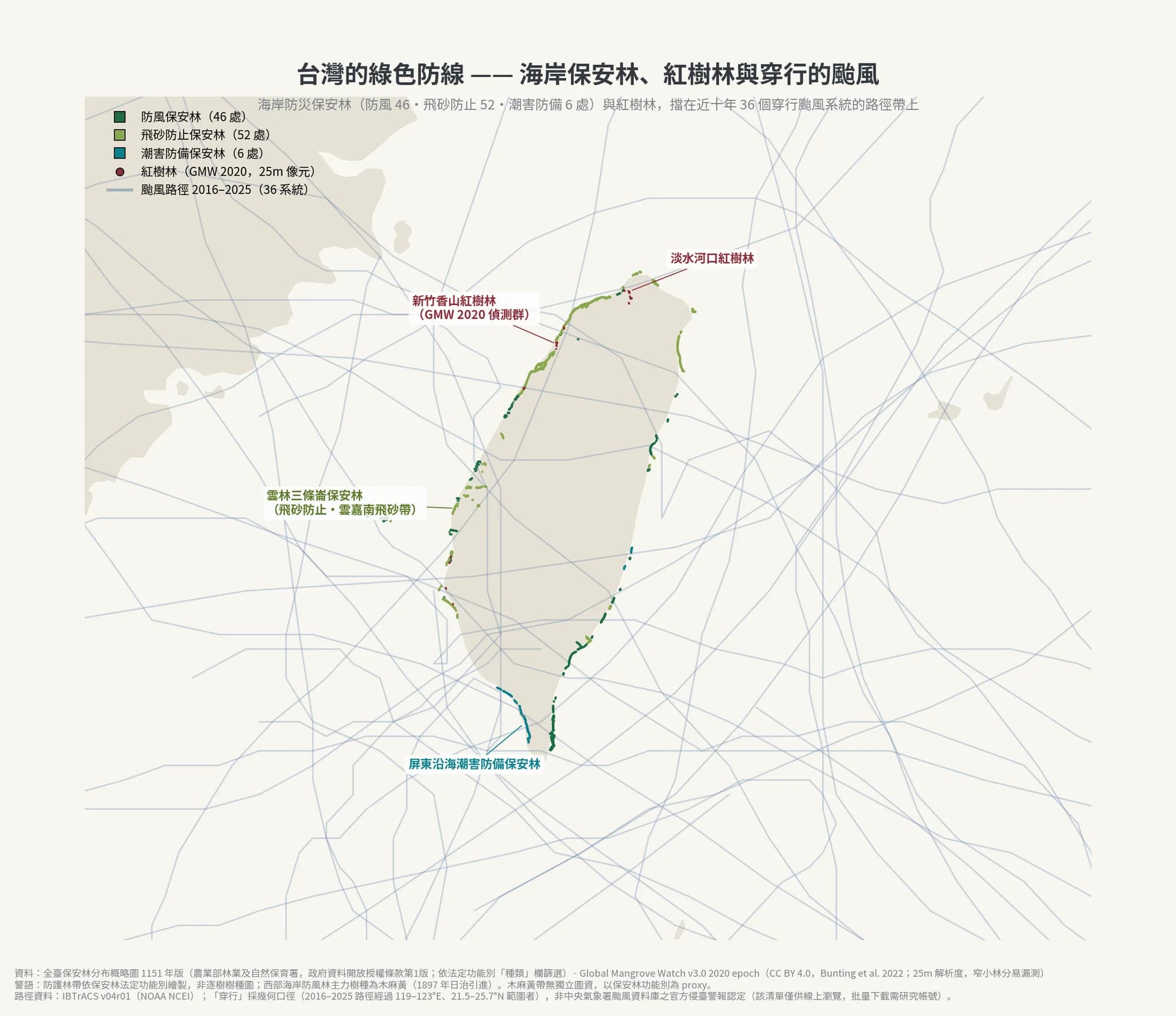 台灣的綠色防線 —— 海岸保安林、紅樹林與穿行的颱風